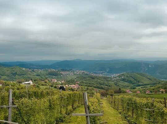 U Srbiji najviše poljoprivrednika starijih od 65 godina