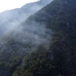 Požar na Tari